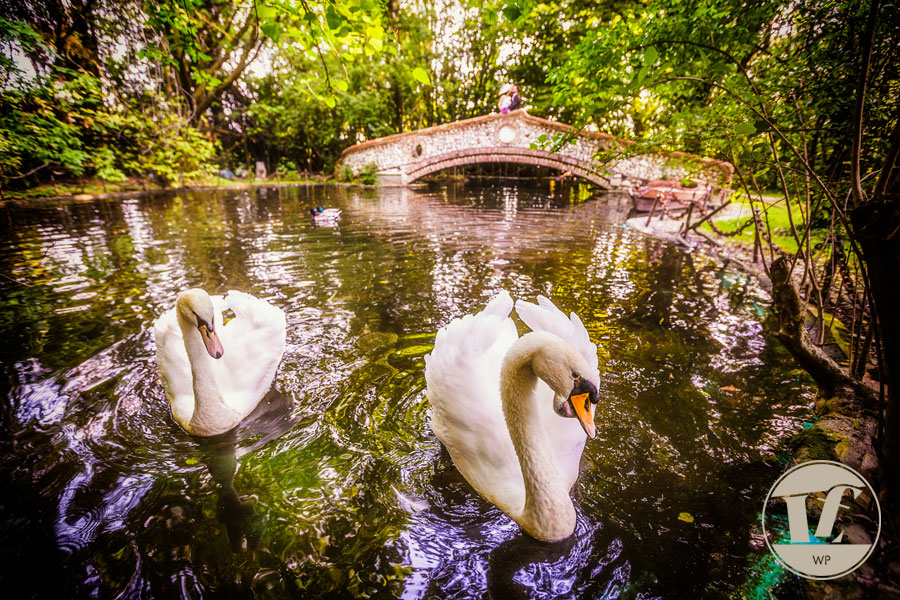 Veneto Italy destination wedding photographer