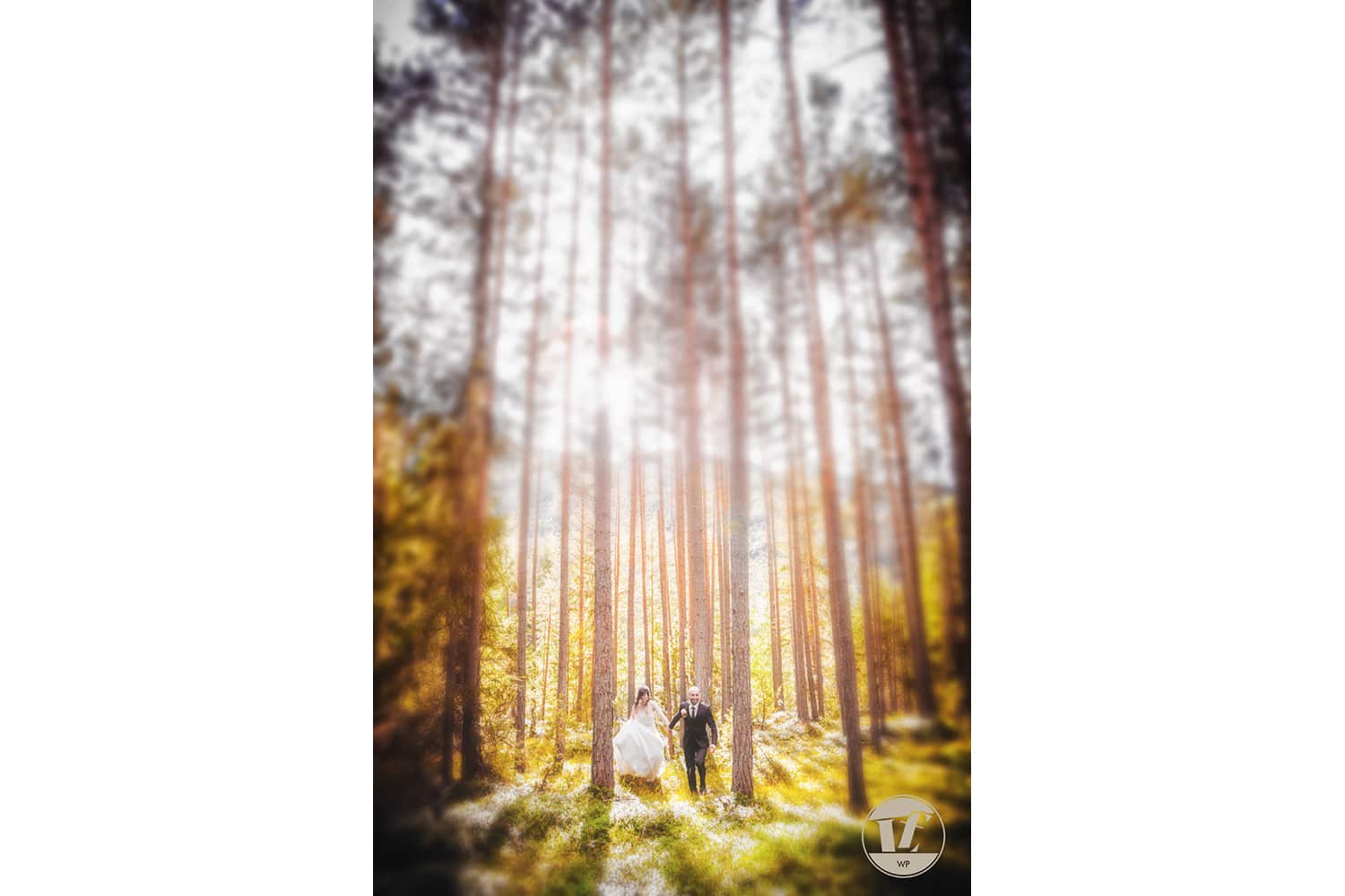 fotografo matrimoni Verona, Padova, Vicenza